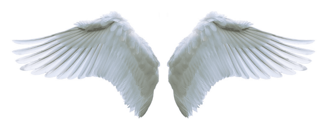 Angel Number 522 & What It Means For You